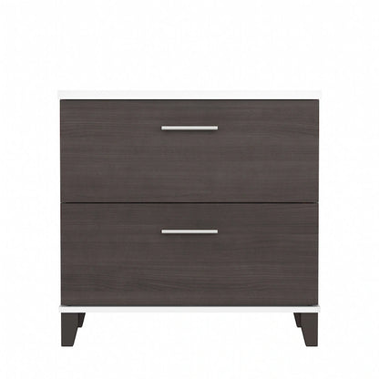 Bush Furniture Somerset 2 Drawer Lateral File Cabinet with Storage