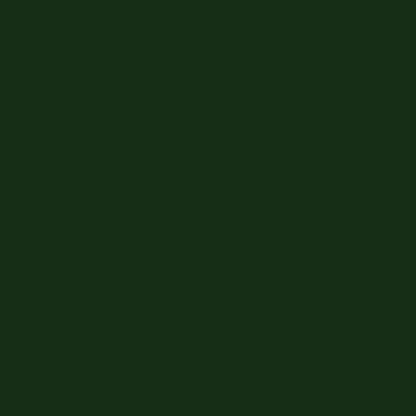 Blazing Needles Renewal Twin 10-inch Twill Futon Mattress