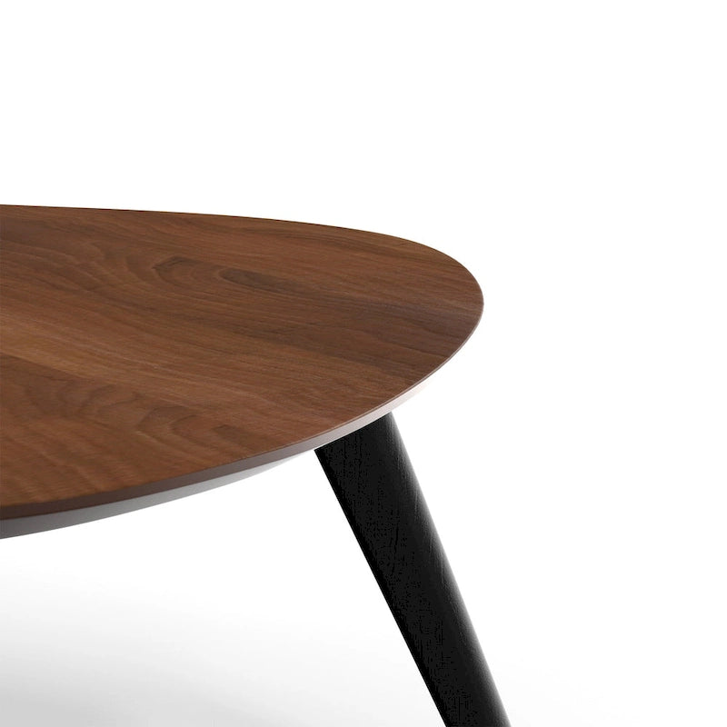 Darius Coffee Table
