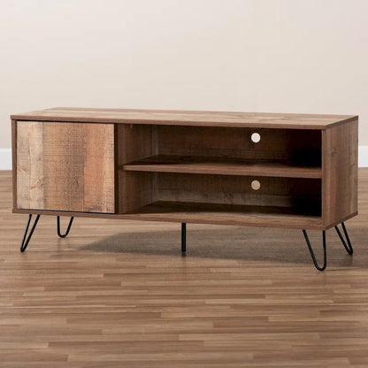 Iver Modern and Contemporary 1-Door TV Stand