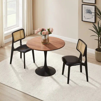 Art Leon Cane Backrest Leather Dining Chairs (Set of 2)